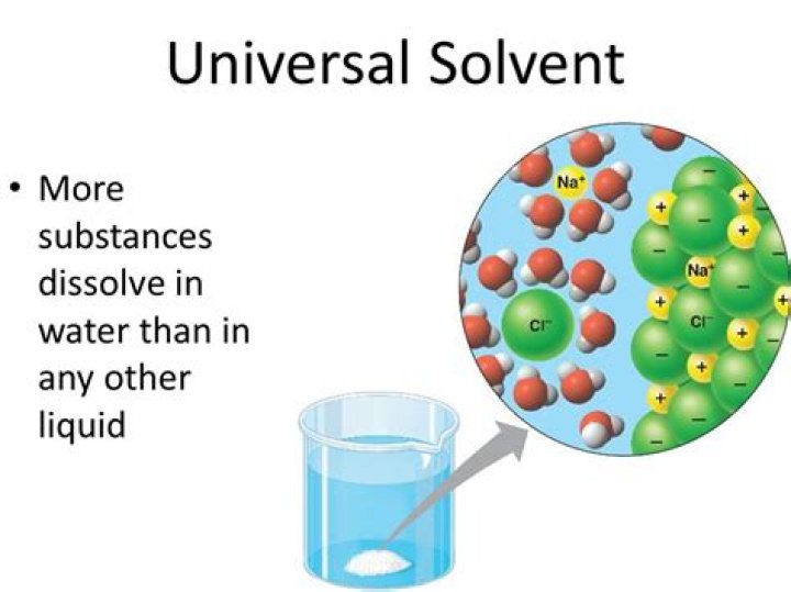 What is the universal solvent