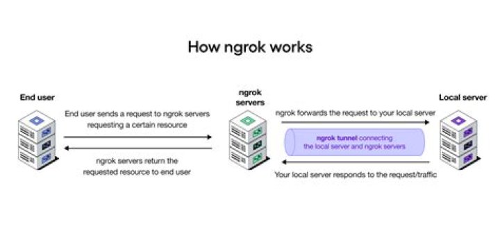 What is the use of Ngrok