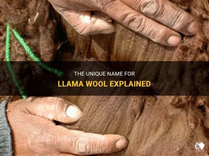 What is the wool of a llama called