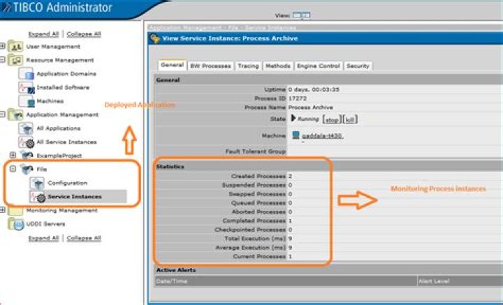 What is Tibco Administrator