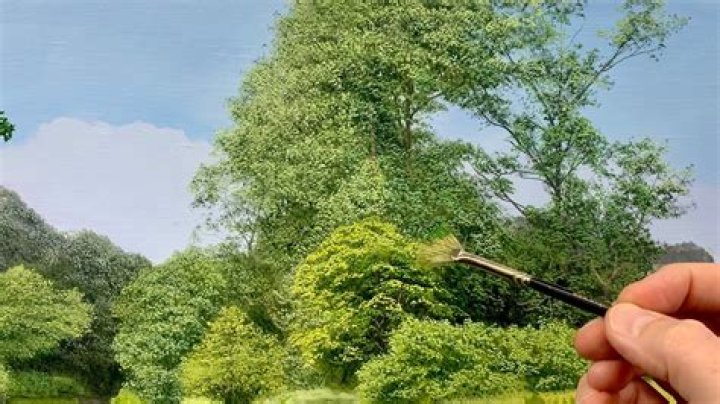 What is tree foliage