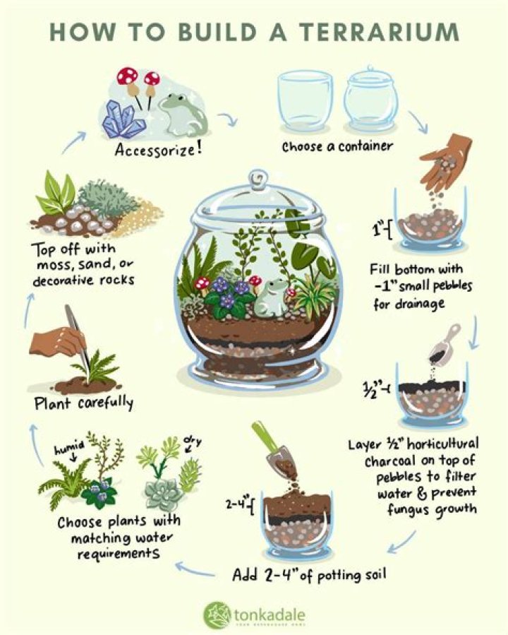 What kind of charcoal do you use in a terrarium