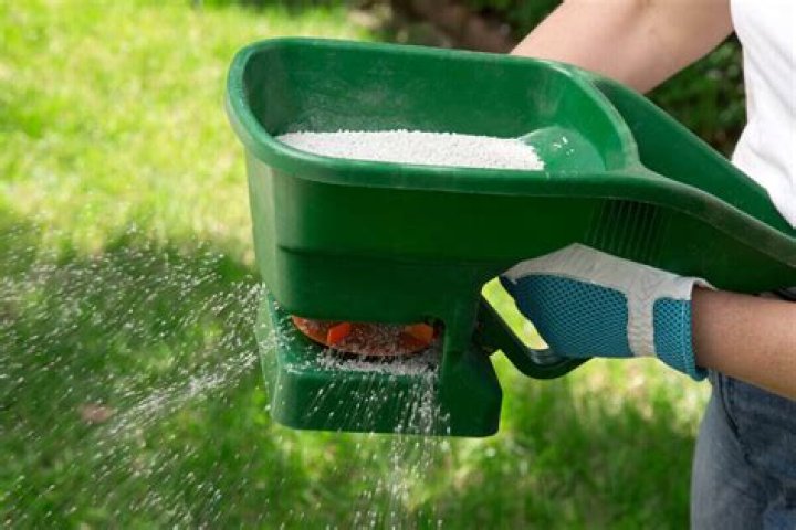 What kind of fertilizer is best for Bermuda grass