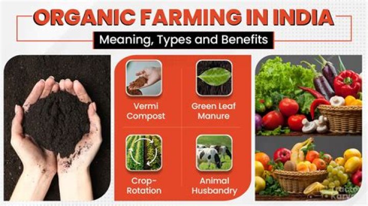 What kind of fertilizer is used in organic farming