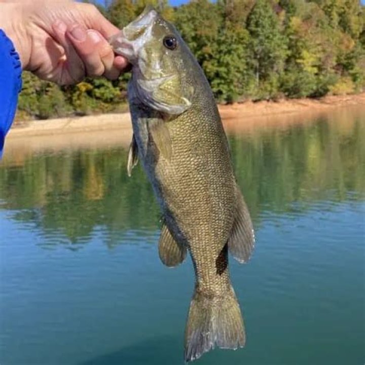 What kind of fish are in San Pablo Reservoir