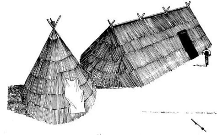 What kind of houses did the Nez Perce live in