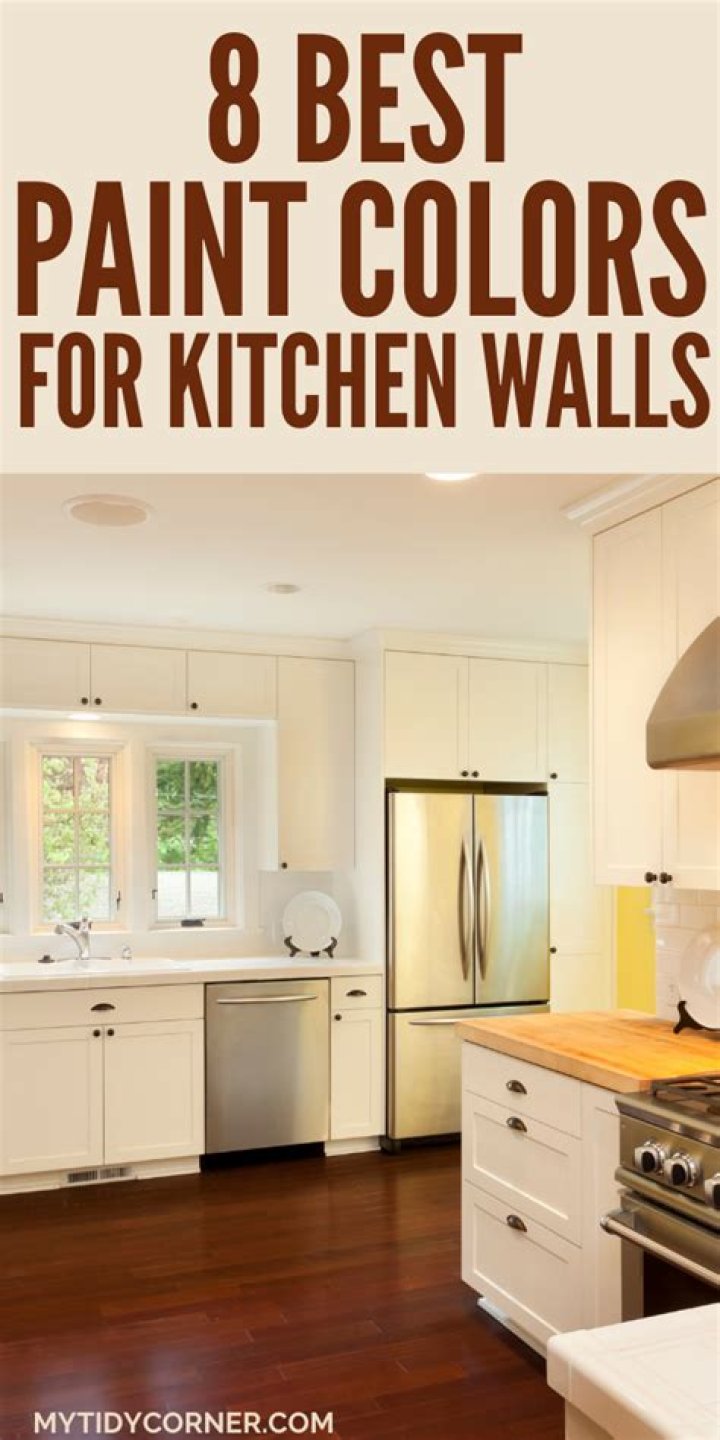 What kind of paint is used to paint walls