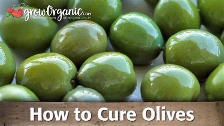 What kind of salt do you use to cure olives