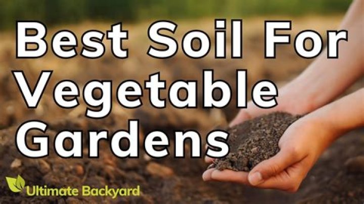 What kind of soil is best for asparagus