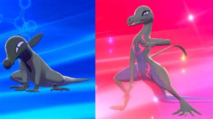What level does Salazzle evolve