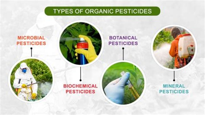 What makes a pesticide persistent