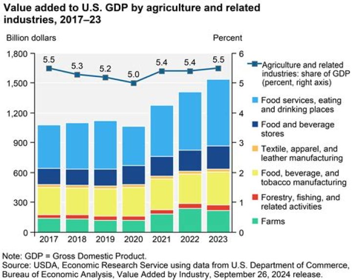 What makes up the equine economy
