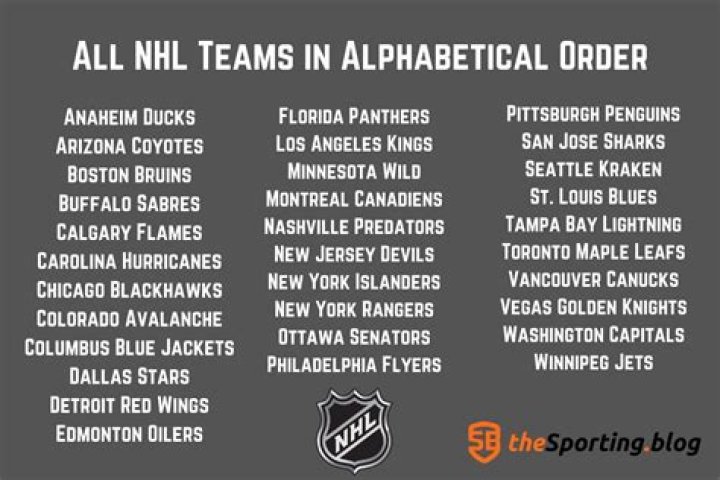 What NHL teams are in the Pacific Division