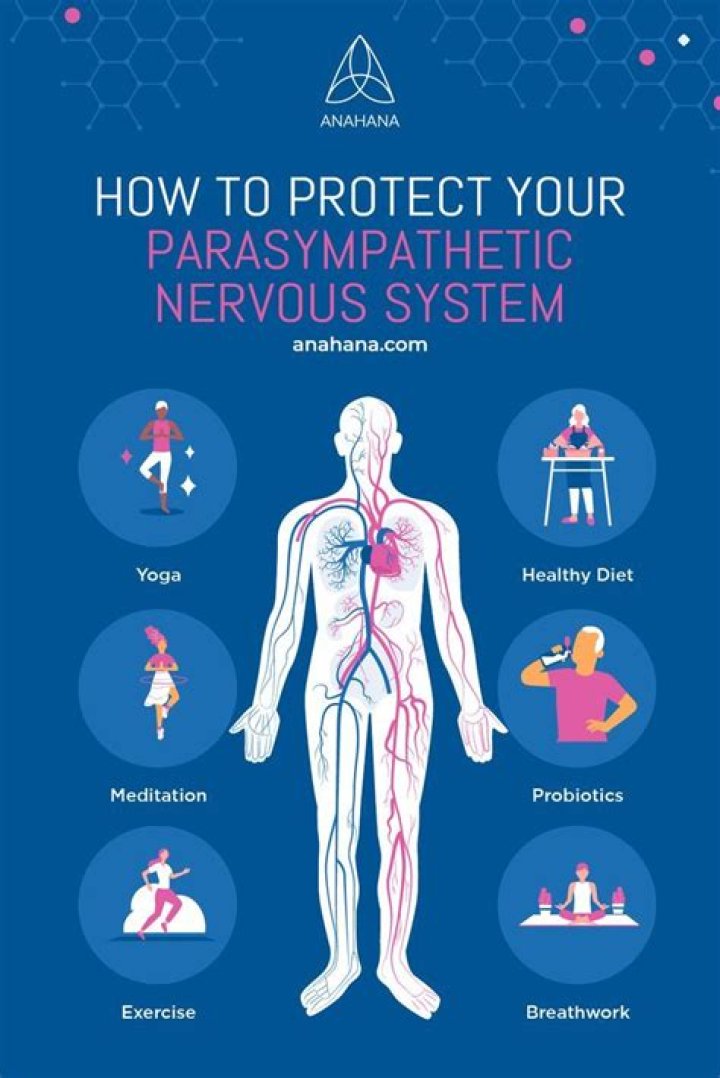 What parts of your body protect your nervous system