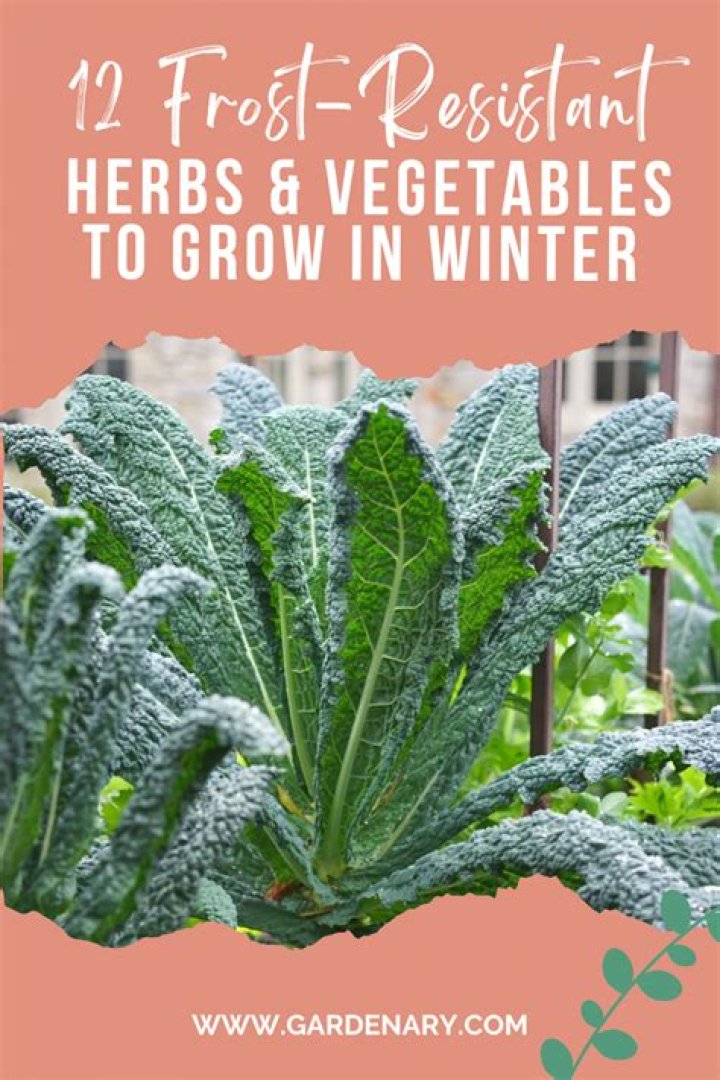 What plants are frost resistant