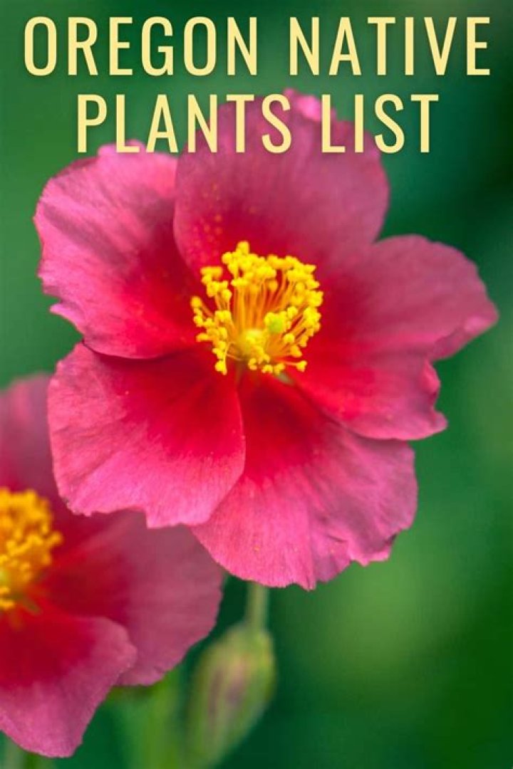 What plants are native to Oregon