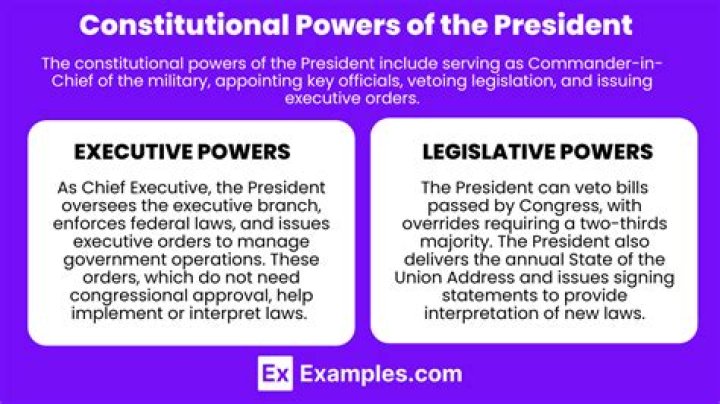 What powers does Article 2 of the Constitution give the President