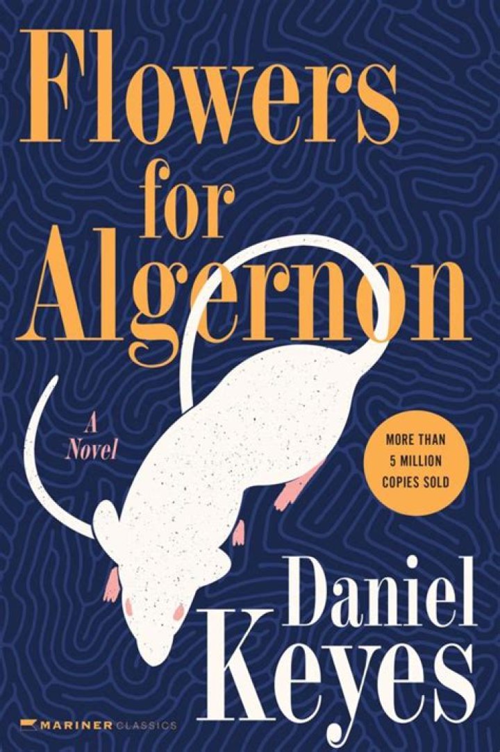 What progress report does Algernon die