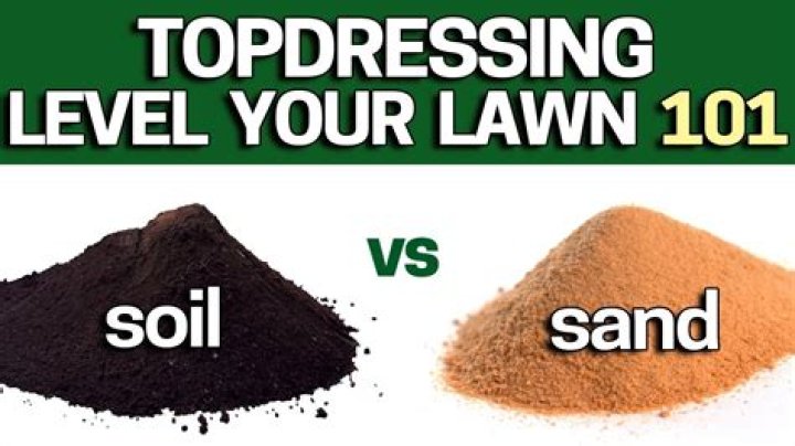 What sand do you use for top dressing