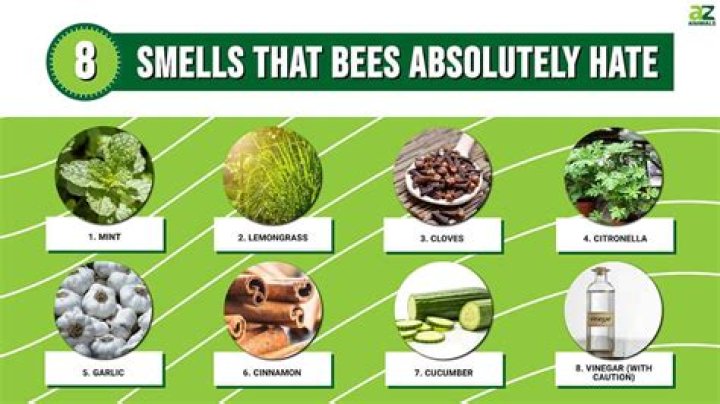 What scents attract bees