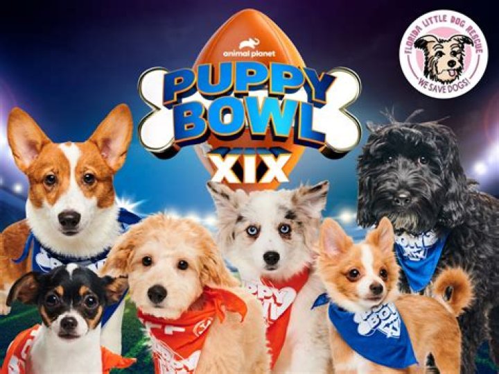 What time is the Puppy Bowl on Animal Planet
