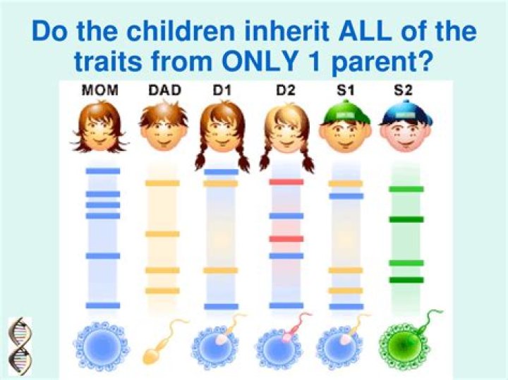 What traits do animals inherit