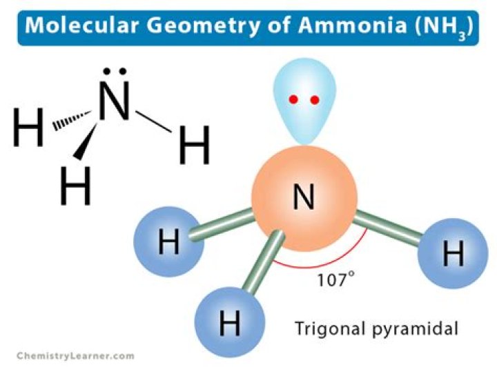 What tube is an ammonia level drawn in