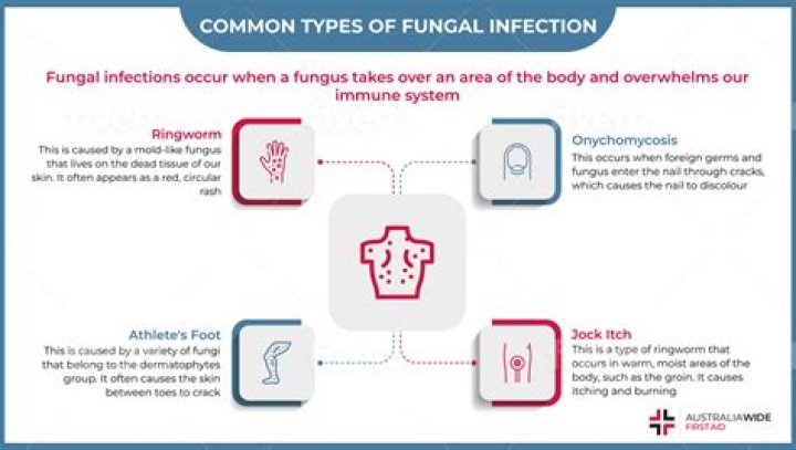 What type of fungal pathogens typically cause wound infections