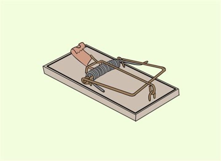 What type of spring is used in a mousetrap