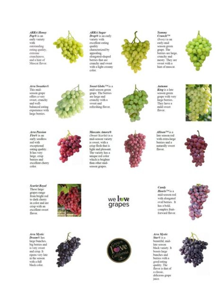 What variety are table grapes