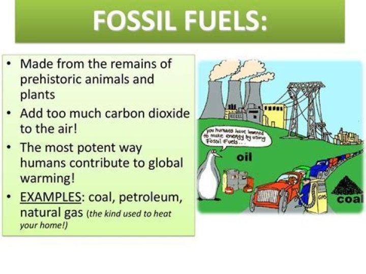 What was the first fossil fuel