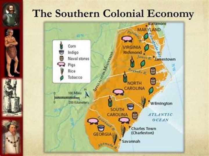 What was the main economic activity in the southern colonies