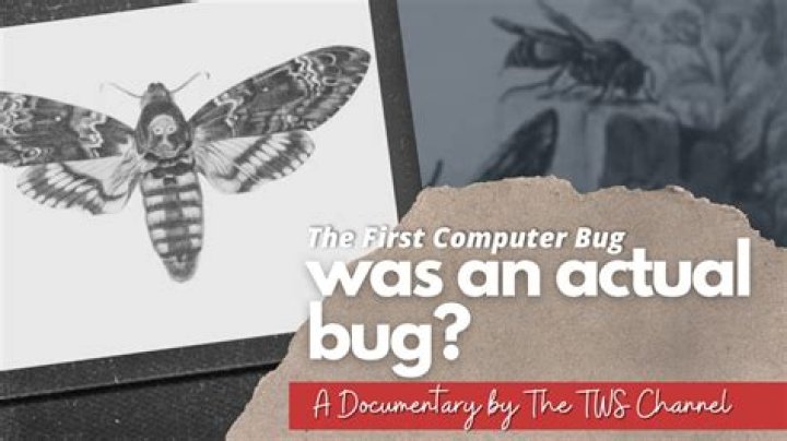 What was the very first computer bug