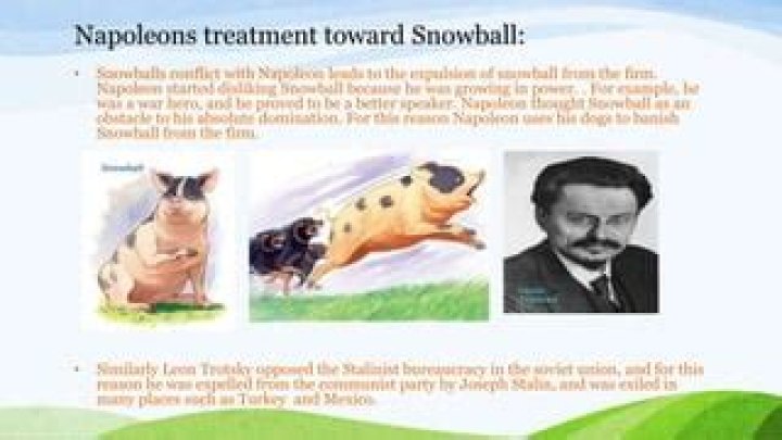 What was your reaction to snowballs expulsion from Animal Farm