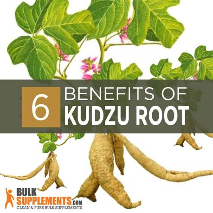What will eat kudzu