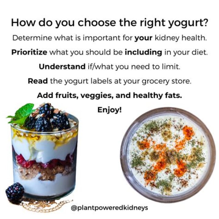 What yogurt is good for kidney disease
