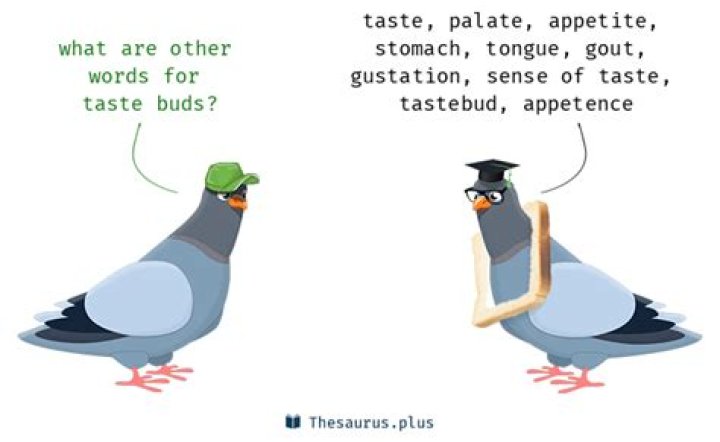 Whats another word for taste buds