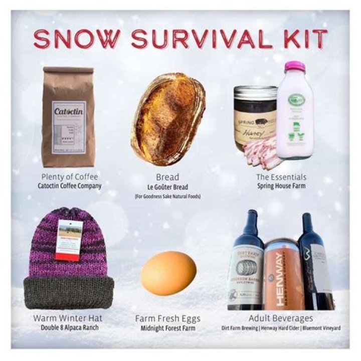 Whats in a winter survival kit