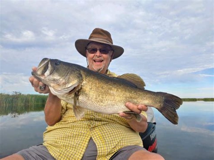 Whats the Florida record for largemouth bass