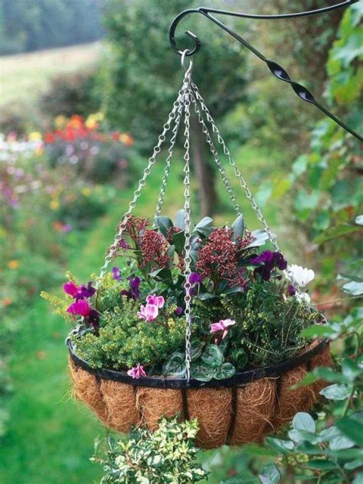 When can I put hanging baskets outside