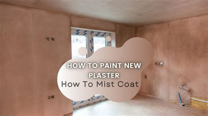 When can you paint fresh plaster