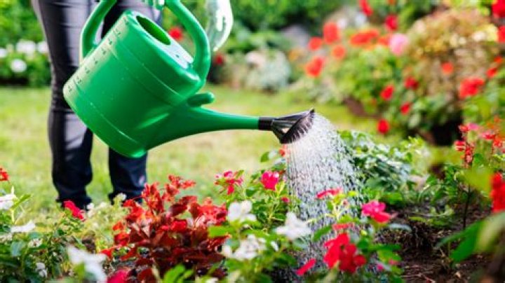 When should I start watering my garden in the spring