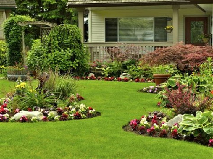 When should you plant a garden in Colorado