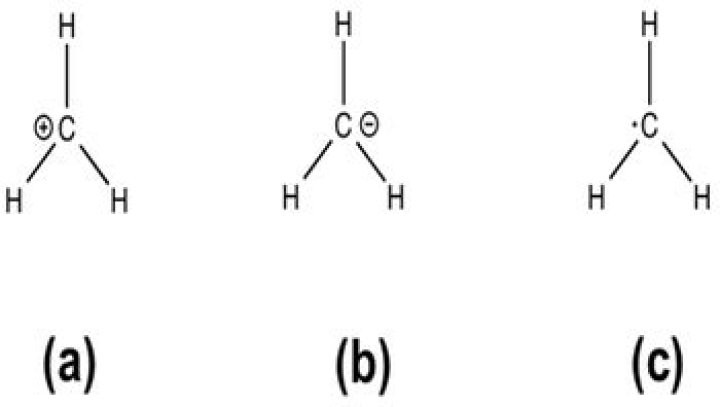 Where are methyl groups found