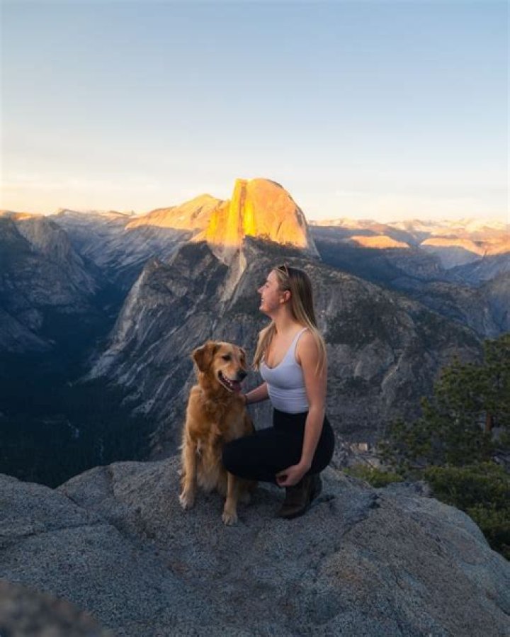 Where can dogs stay in Yosemite