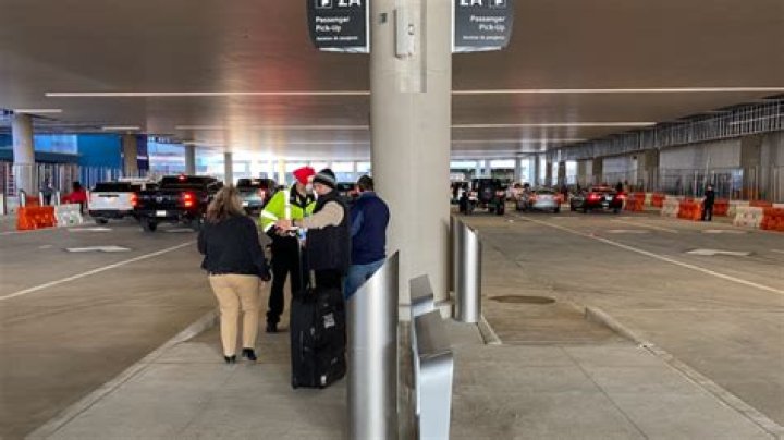 Where do I pick up my dog at the airport