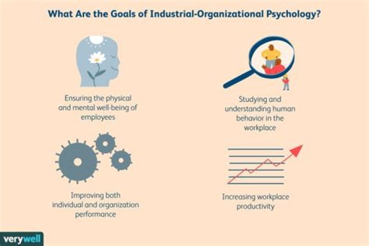 Where do industrial/organizational psychologists work