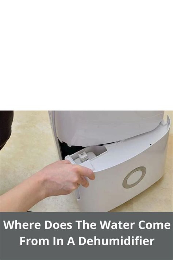 Where does the water come from in a dehumidifier