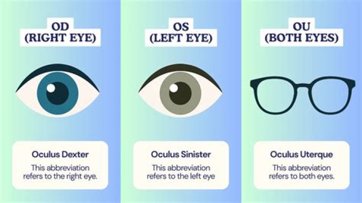 Where does the word ophthalmology come from