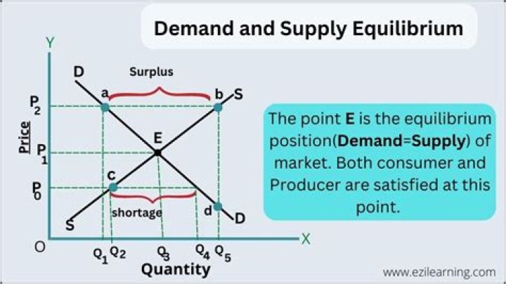 Where is the equilibrium located